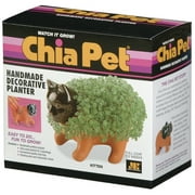 JOSEPH ENTERPRISE Chia Pet Planter - Kitten Decorative Indoor Garden Flower Plastic Plant Pot with Growing Chia Seeds
