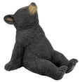 thumbnail image 1 of Design Toscano QM2622000 Catching Rays Bear Cub Statue, Full Color Finish, 1 of 1
