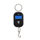 thumbnail image 5 of Eigraketly Mini báscula colgante portátil de 25Kg y 5g, báscula Digital con retroiluminación, báscula electrónica para pesca, báscula para negro 2piezas, 5 of 6