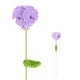 thumbnail image 1 of 1-Pack Flores de Ganchillo, Clavel de Lana Artificial Tejido para Flores Tejidas a Mano [Morado], 1 of 1