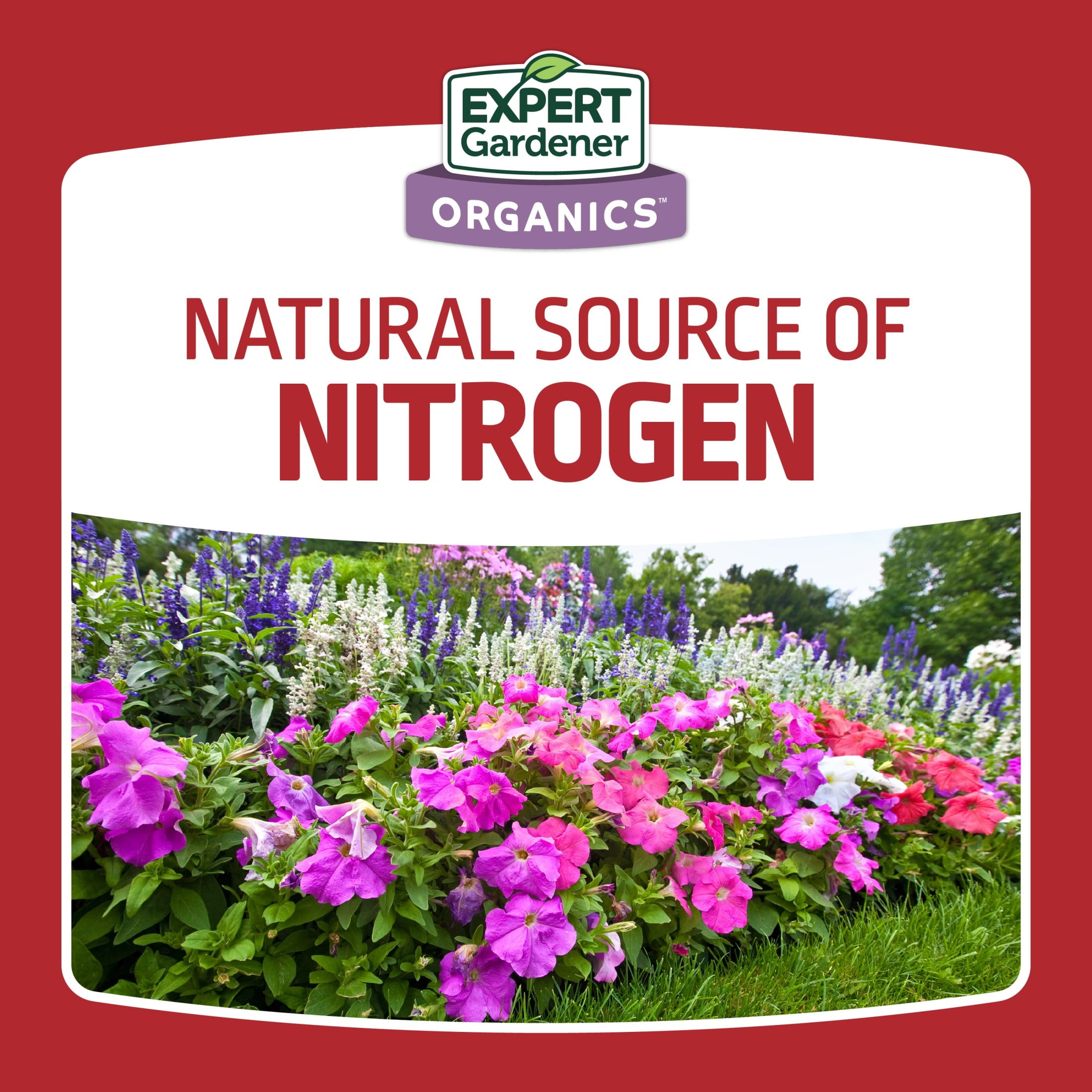 Expert Gardener Blood Meal Plant Food, 13-0-0, 3 lb.