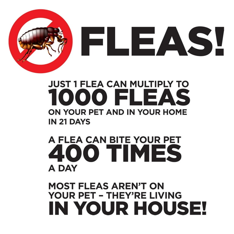 Enforcer 2 Pack Flea Fogger Kills Fleas Ticks and Other Pests