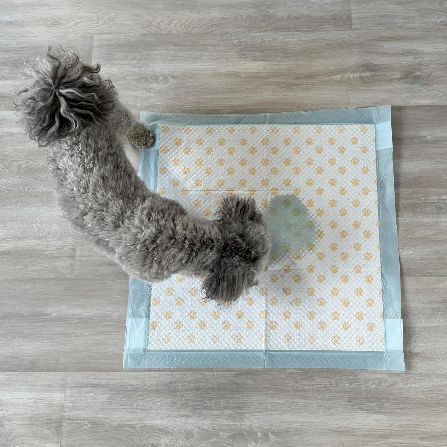 SPOT Dr. Bales Early Detection Health Monitoring Pee Pads 50 Pack for Dogs