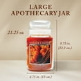 thumbnail image 6 of Village Candle Spiced Pumpkin Scented Candle, Large 21.25 oz Apothecary Jar, 6 of 9