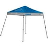 Rawlings Det 10 X 10 Gazebo