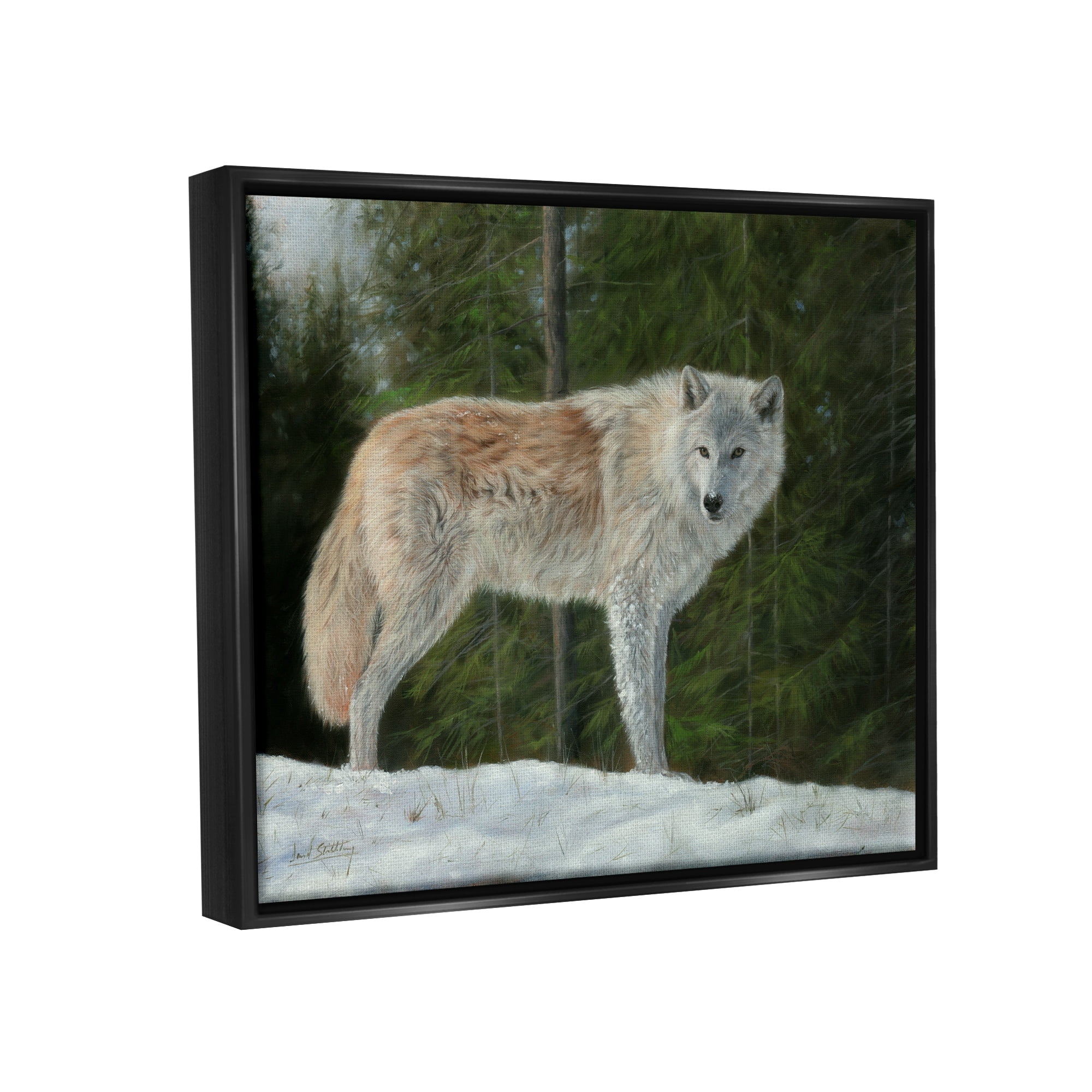 Stupell Industries Wild Coyote Wolf Gazing Snowy Forest Clearing Painting Jet Black Floating Framed Canvas Print Wall Art, Design by David Stribbling