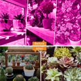 GustaveDesign 1/2/4 Pack Full Spectrum E27 Plants Grow Light, 260V UV Light Bulbs Plant