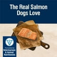 thumbnail image 4 of Blue Buffalo True Solutions Skin & Coat Care Natural Dry Dog Food, Salmon, 4-lb. Bag, 4 of 13