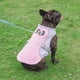 thumbnail image 5 of Chaleco de enfriamiento para perros Arnés Chaqueta más fresca, 5 of 5