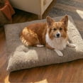 thumbnail image 3 of Best Friends by Sheri Comfy Crate Dog Bed Washable, Mushroom, Large/X-Large, 3 of 6
