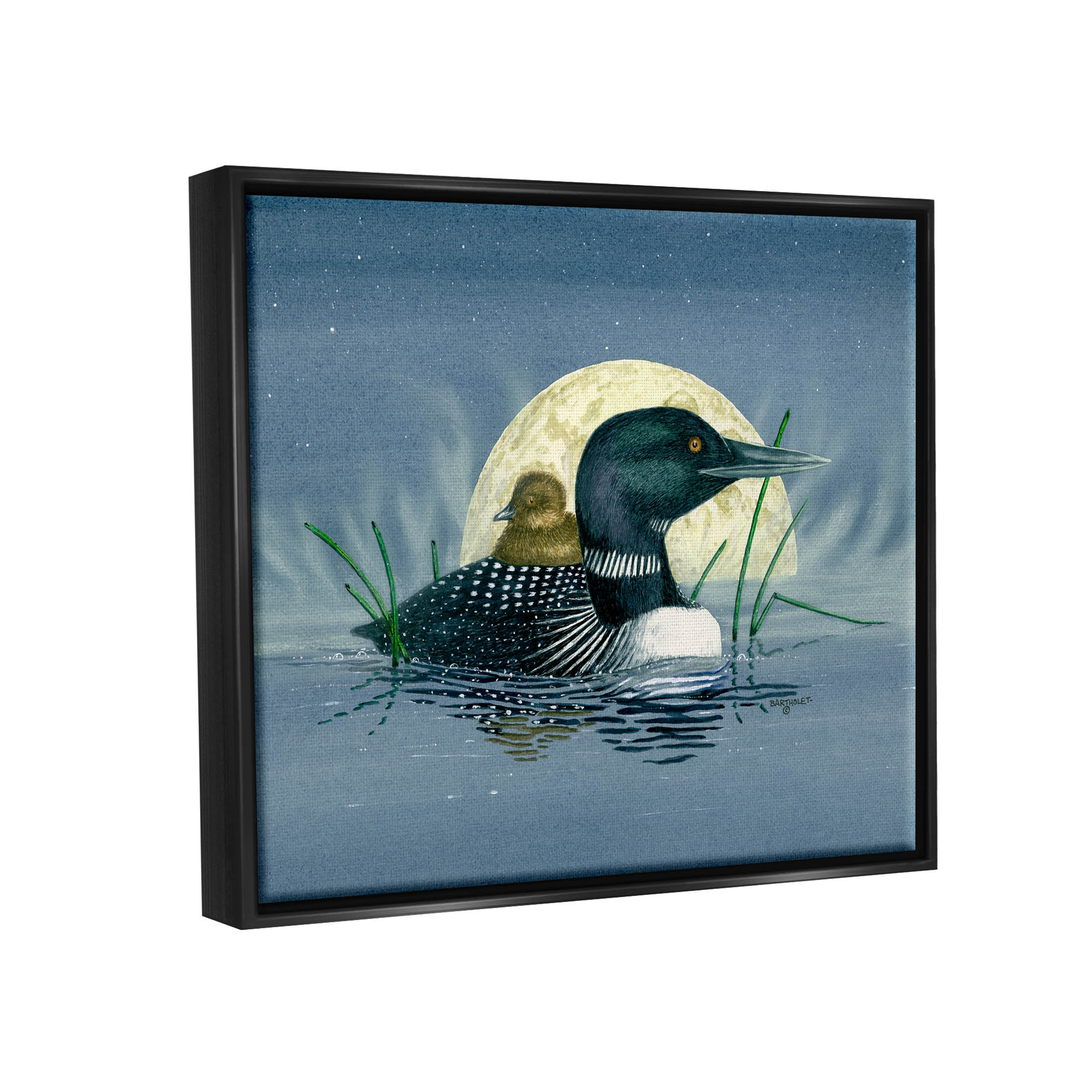 Mallard Duck Moonlit Pond Animals & Insects Graphic Art Jet Black Framed Art Print Wall Art