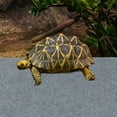 thumbnail image 1 of REOFLYUP Pet Terrarium Substrate Grey Reptile Mat Soft Comfortable and Washable, 1 of 5