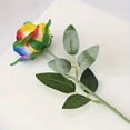 thumbnail image 5 of Yucurem 5PCS Artificial Rainbow Rose Flowers with Stems, Romantic Colorful Silk Rose Bouquet for DIY Valentine's Day Birthday Wedding Centerpieces Home Decor Gifts (50cm), 5 of 6