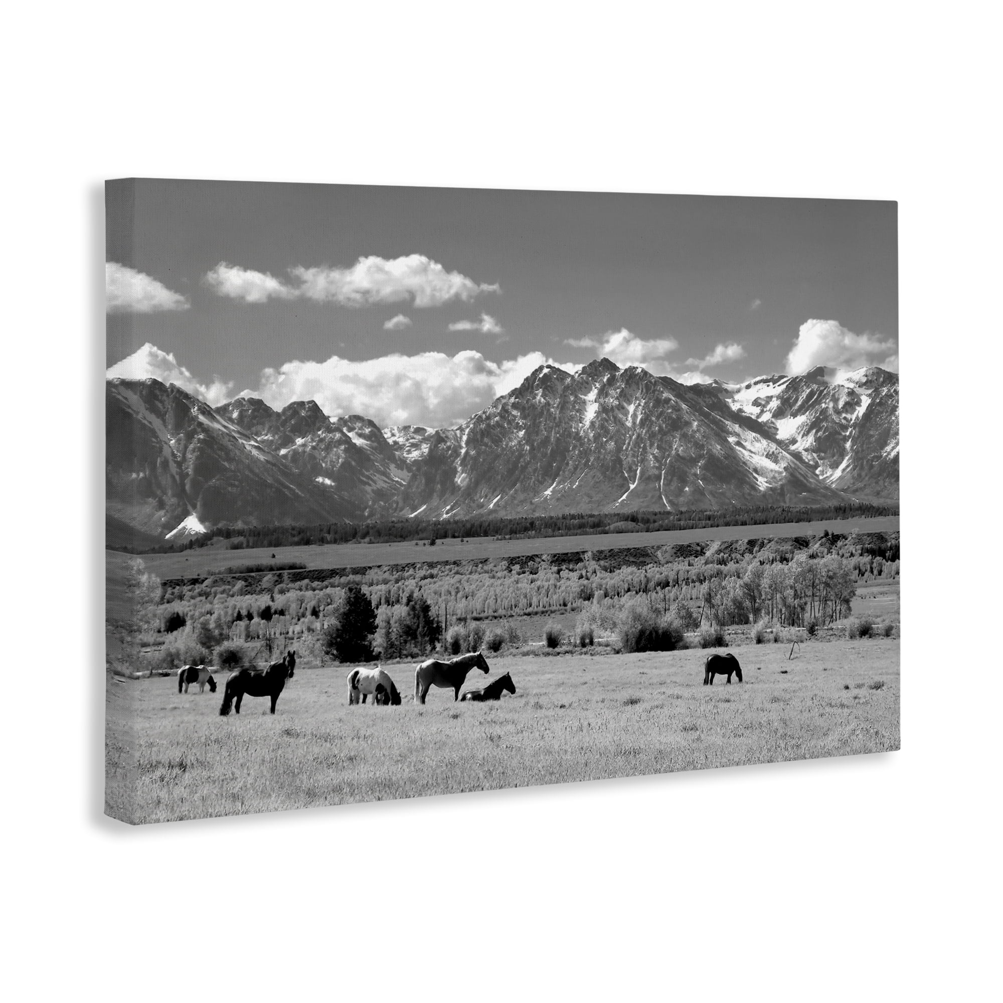Stupell Industries Wyoming Ranch Horses Grazing Canvas Wall Art, design by Steve Toole