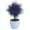 Purple, variant on Realistic Looking Eye-catching Small Fake Plant Mini Artificial Plant Faux Plants in Pot for Home Living Room Table Bedroom Desk Bathroom Shelf Farmhouse Decor