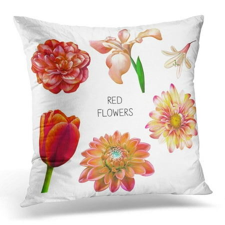 Rose Scarlet Rose - CMFUN Aroma of Beautiful Red Yellow and Pink Flowers Spring Rose Camellia Dahlia Iris Tulip Bell White Beauty Pillow Cover 16x16 Inches Throw Pillow Case Cushion Cover