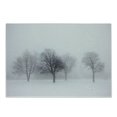 thumbnail image 1 of Winter Cutting Board, Foggy Misty Cold Scenery Leafless Tree Branch in Weather Print, Decorative Tempered Glass Cutting and Serving Board, Small Size, Grey White, by Ambesonne, 1 of 1
