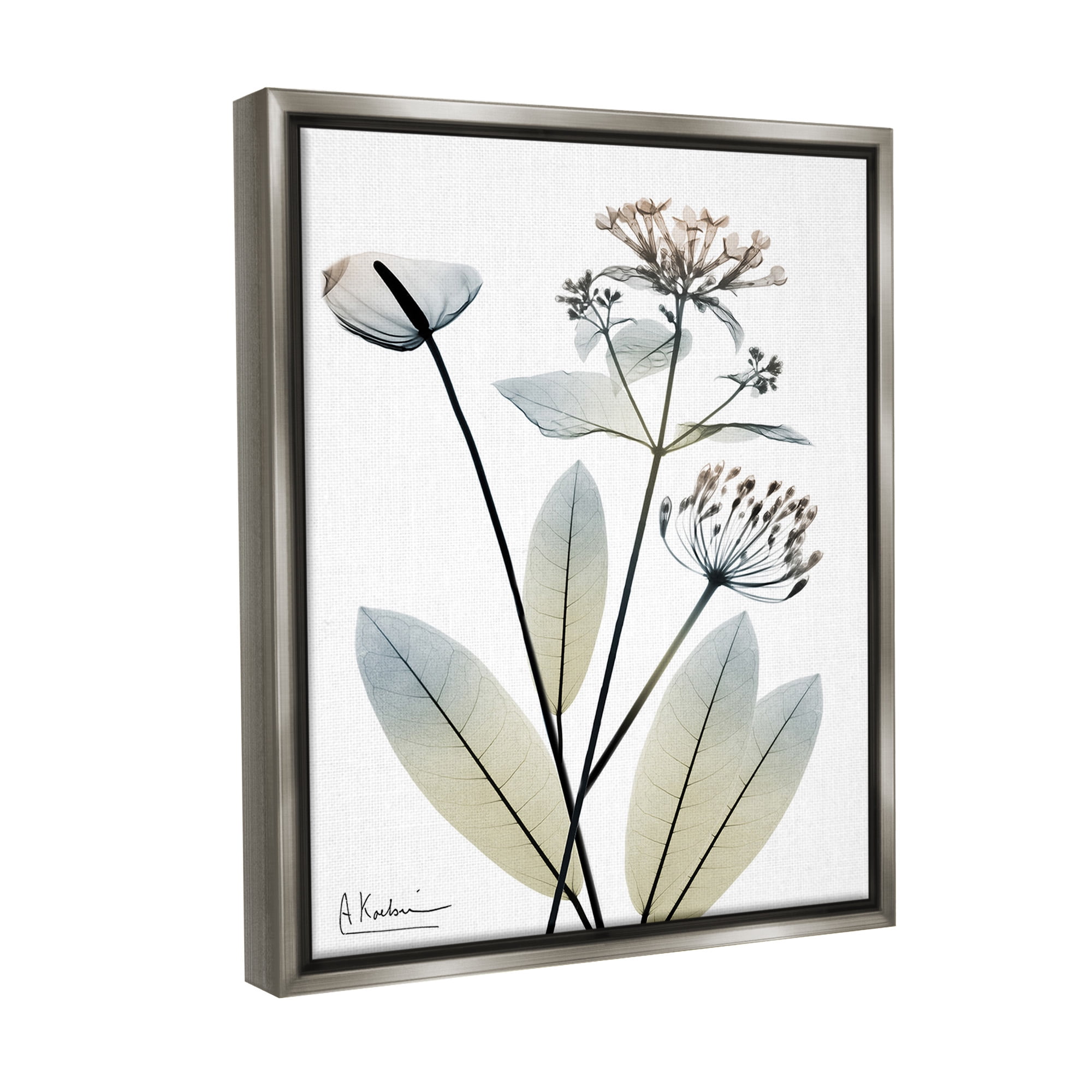 Stupell Industries Contemporary Flower Shapes Botanical & Floral Photography Gray Floater Framed Canvas Art Print Wall Art, 17 x 21