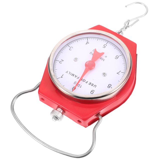 HLONK Jeu de Balance de Pêche pour Chasse Voyage de Printemps
