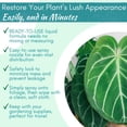 thumbnail image 4 of Houseplant Leaf Shine Spray - Leaf Polish, Gloss, and Shine, Perfect for House Plants and Foliage, 4 of 9