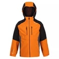 thumbnail image 1 of Regatta - Chaqueta Impermeable Hydrate VII para Niños/Niñas (Arce de Otoño, Negro) Regatta UTRG8217_autumnmapleblack, 1 of 2