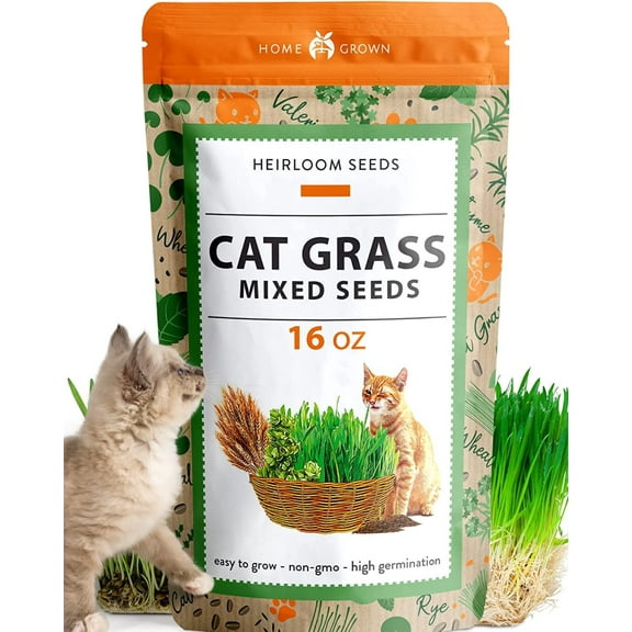 1 Pound Cat Grass Seeds for MVR1 Cat & Kittens - Heirloom | Grow Fresh Kitty Grass for Chewing | Pet Grass for Cats Indoor Garden | Wheatgrass Seeds for Pets | Healthy Cat Greens