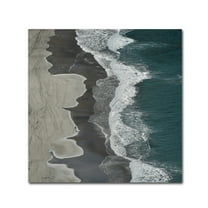 Trademark Fine Art 'Running Waves' Canvas Art by Lex Molenaar