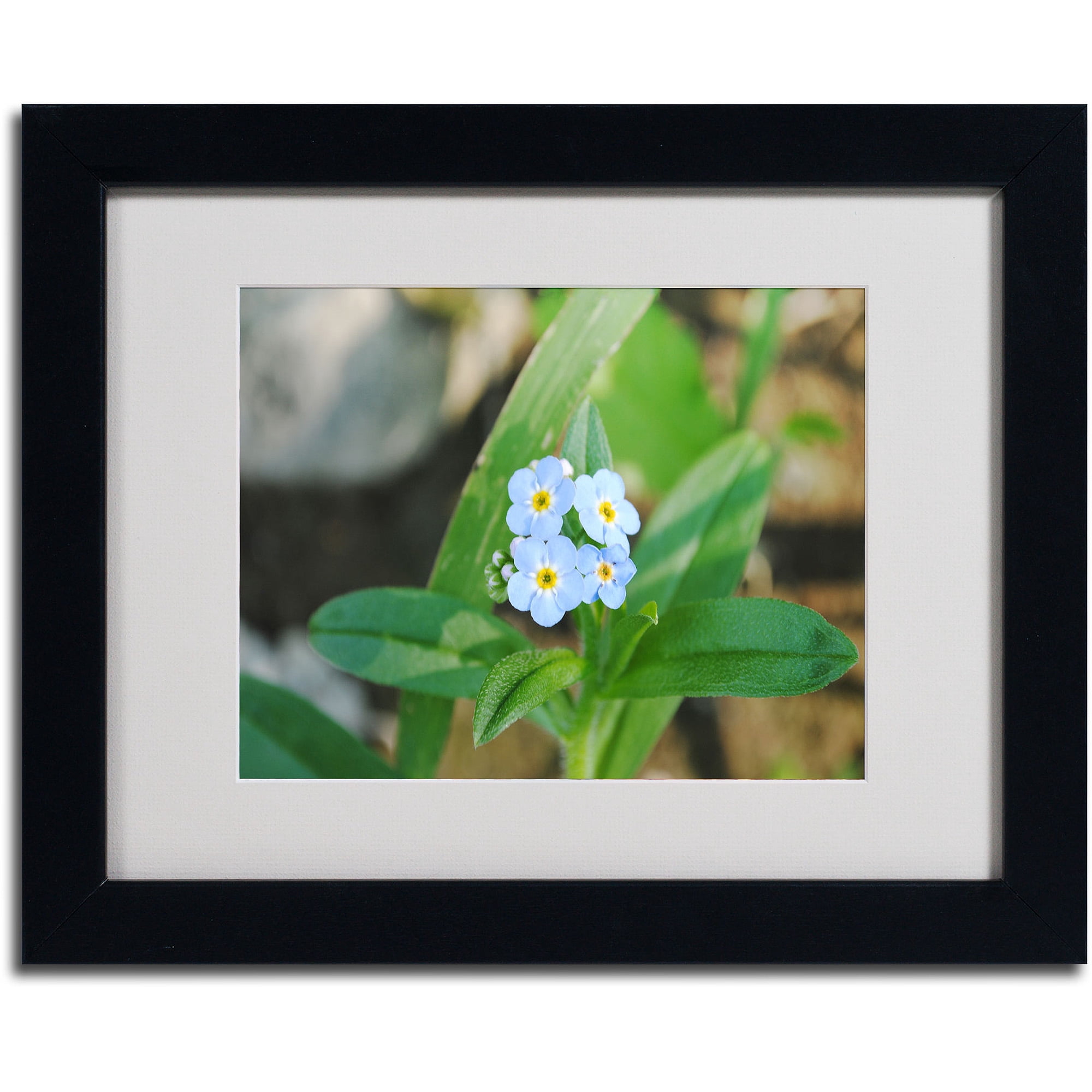 Trademark Fine Art "Dignified Characteristic" by Monica Fleet, Black Frame