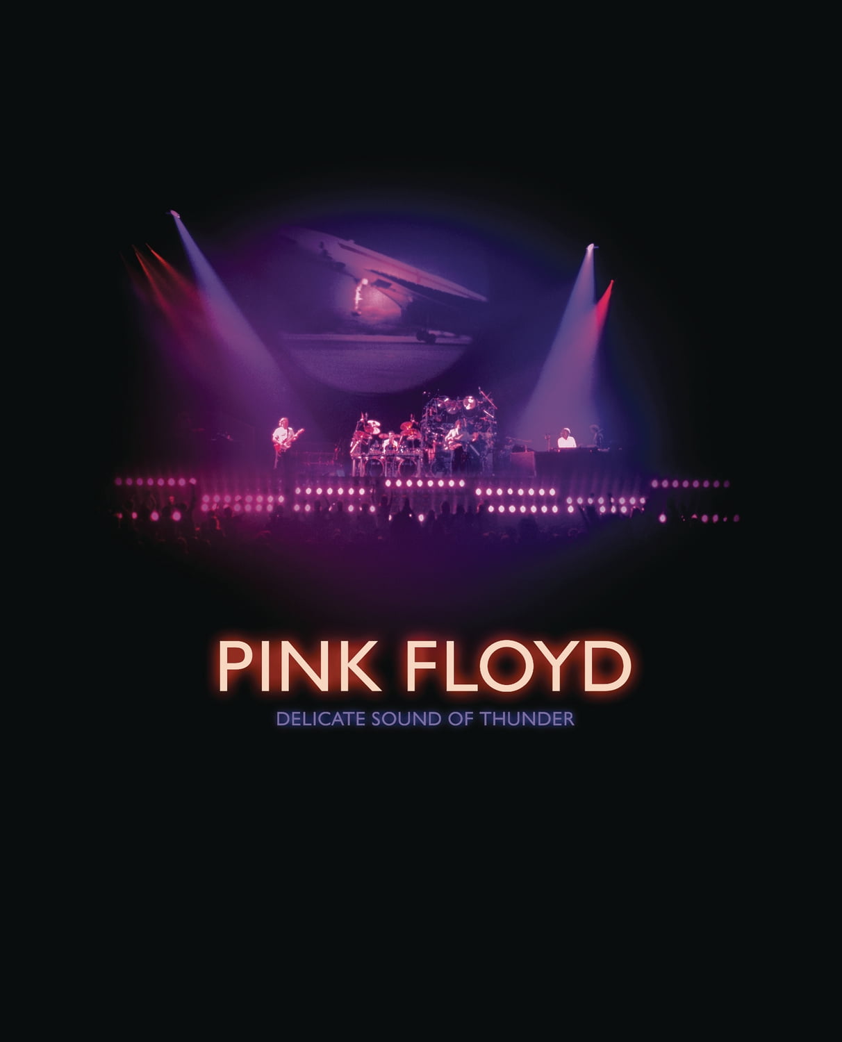 Pink Floyd - Delicate Sound Of Thunder Deluxe Box Set - Music