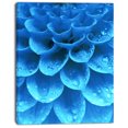 thumbnail image 2 of Large Light Blue Flower and Petals - Floral Canvas Art Print, 2 of 3