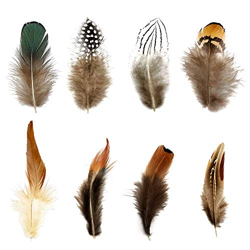 8 Styles of Feathers,Assorted Mixed Feathers for Craft,Decoration,Dream