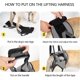 thumbnail image 2 of Dog Sling For Large Dogs Hind Leg Support To Help Rehabilitate The Hind Limbs Of Elderly Dogs With W, 2 of 5