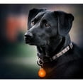thumbnail image 2 of PEACNNG LED Light Pendant Light Collar Led Dog Collar in Orange, 2 of 5