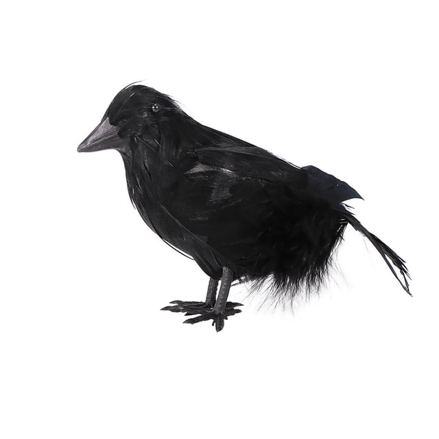 Matsuzay Cuervos negros de Halloween, accesorios artificiales para pájaros, juguetes con alas de plumas, modelos de cuervos, suministros Kits de decoración para fiestas