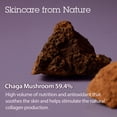 thumbnail image 4 of Crema reafirmante de la piel BLITHE Pressed Serum Chaga Mushroom, 4 of 5