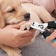 thumbnail image 3 of Dog & Cat Pets Nail Clippers And Trimmers Professional Pet Nail Clipper Grooming Tool, 3 of 4