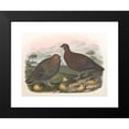 thumbnail image 2 of Daniel Giraud Elliot 18x15 Black Modern Framed Museum Art Print Titled - Red Grouse (1865), 2 of 5