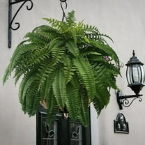 Ferns Artificial Persian Fern Bush Plant,Artificial Fern Plants Outdoor,Faux Plant Shrubs Greenery Bushes Indoor Outside,Hanging Basket Planter Decor for Home Garden Office Verandah Wedding Decor