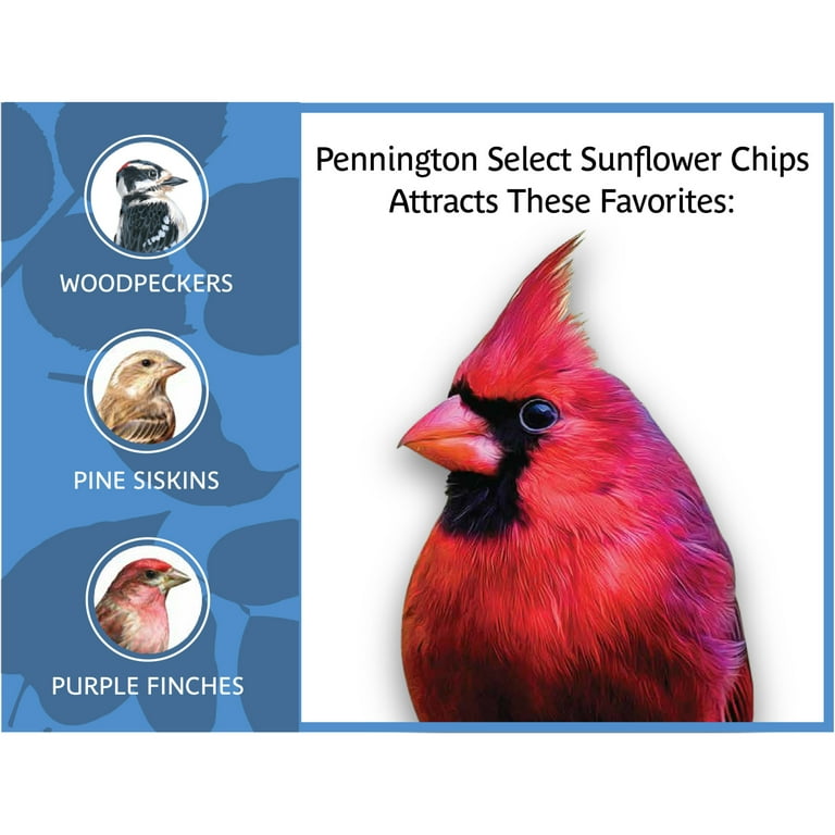 Pennington Select Sunflower Chips, Wild Bird Feed and Seed, 5 lb. Bag Pennington Select Sunflower Chips, Wild Bird Feed and Seed, 5 lb. Bag