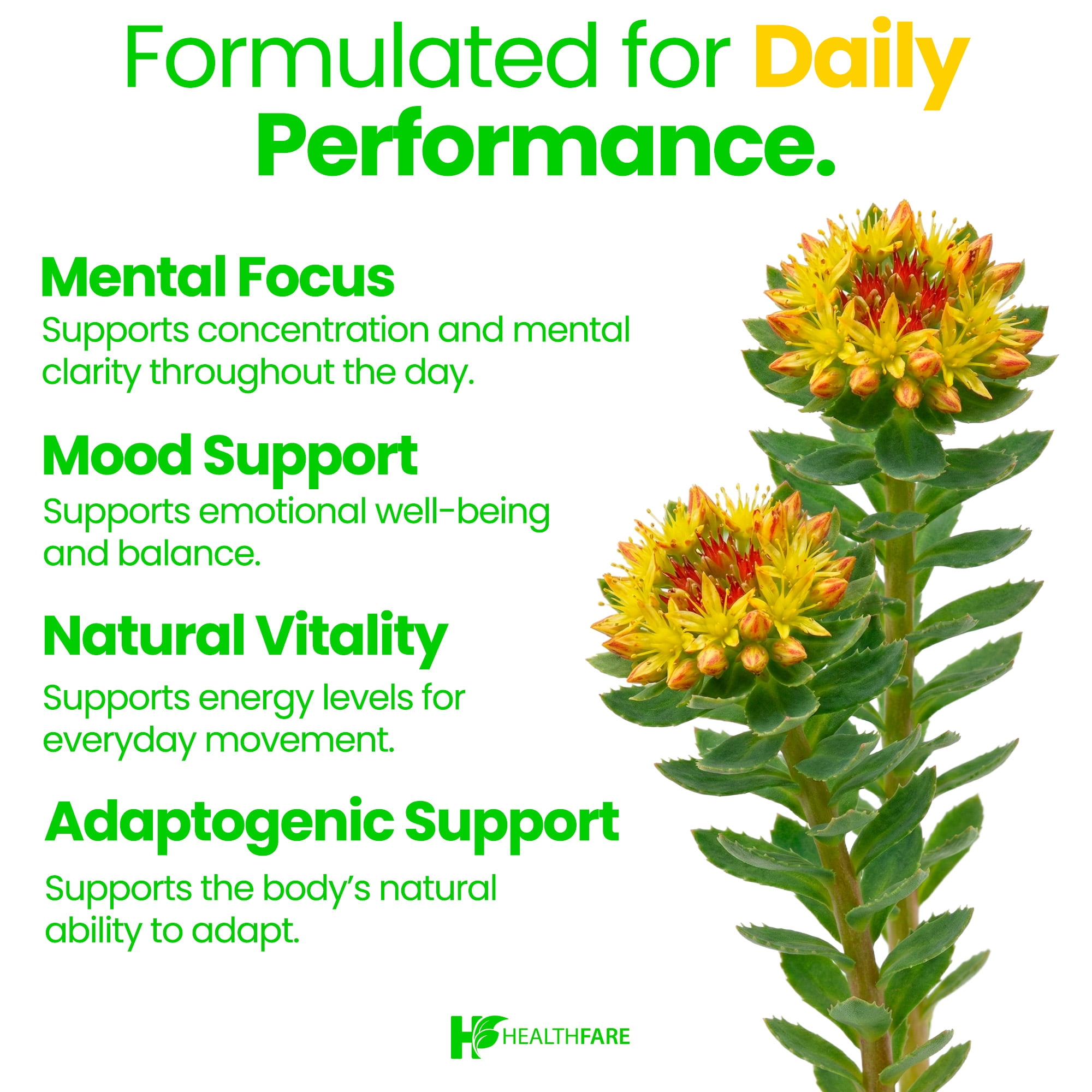 HealthFare Rhodiola Rosea 1000mg | Energy, Stress & Focus Support | 90 Vegan Capsules | Non-GMO, Gluten-Free | Made in USA