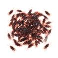 thumbnail image 1 of icolorfuled 150Pcs Scherzartikel Halloween Fake Roaches PVC Prank for All-age People, 1 of 6
