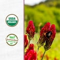 thumbnail image 5 of Back to the Roots Organic Crimson Clover Cover Crop Seeds, covers ~250 sq. ft., 5 of 11