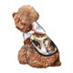thumbnail image 5 of Balery Rose Floral Skull Sudadera con Capucha para Perros Pequeños – Ropa para Mascotas, Disfraz para Perros y Gatos, Ideal para Fiestas y Cosplay-Large, 5 of 7