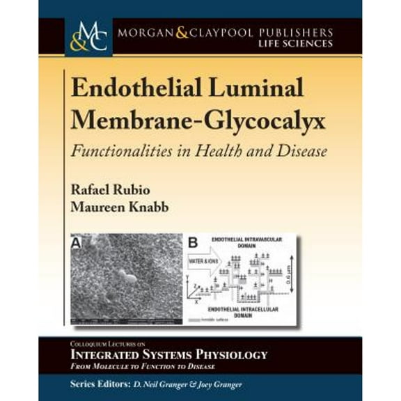 Colloquium Integrated Systems Physiology: From Molecule to Function to Disease: Endothelial Luminal Membrane-Glycocalyx: Functionalities in Health and Disease (Paperback)