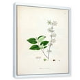 thumbnail image 3 of Designart 'Ancient Botanicals XV' Farmhouse Framed Canvas Wall Art Print, 3 of 5