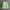 Green, variant on Aloohaidyvio Cardigan Sweaters for Women,Women's 2024 Fall Winter Lettering Cardigan Sweaters Casual Lightweight Coat Round Neck Knitted Button Down Cardigans