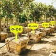 thumbnail image 6 of 4PCS Plant Label Large Tall Outdoor Waterproof Plastic T-Type Tags Durable Nursery Garden Markers for Flower Herbs, 6 of 6
