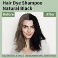 thumbnail image 2 of 2 Pack Black Hair Dye Shampoo 3 in 1,Instant Hair Color Shampoo Covers Gray Hair for Women & Men, Easy To Use & Lasts 3-4 Weeks & All Hair Types, 16.9 fl.oz, 2 of 6