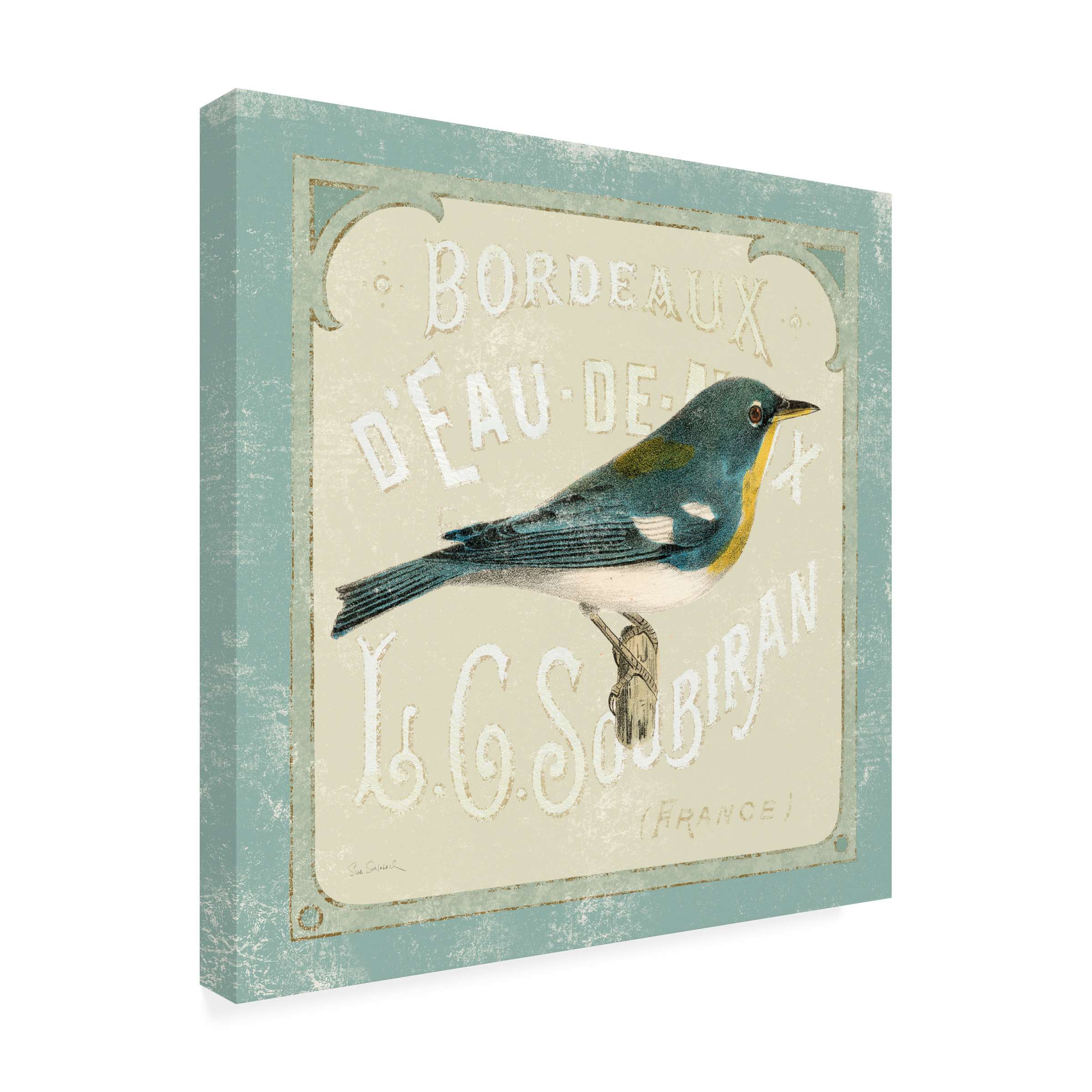 Trademark Fine Art 'Parisian Bird I' Canvas Art by Sue Schlabach