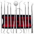 thumbnail image 1 of Herramientas dentales, paquete de 10 herramientas de limpieza de dientes removedores de placa de acero inoxidable, kit de higiene para el cuidado bucal con limpiador de placa, púas de sarro, 1 of 5